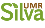 Site web SILVA